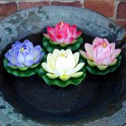 Floating Lotus